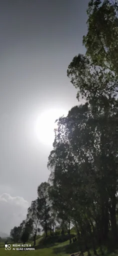 چلوکبابی کمربندی تبریز