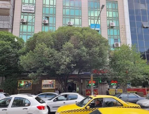 مطب دکتر محمدمهدی حسینیان
