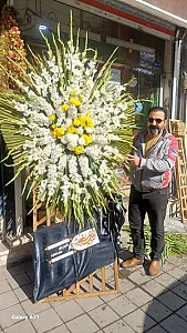 گلسرای بهارنارنج سرچاهی