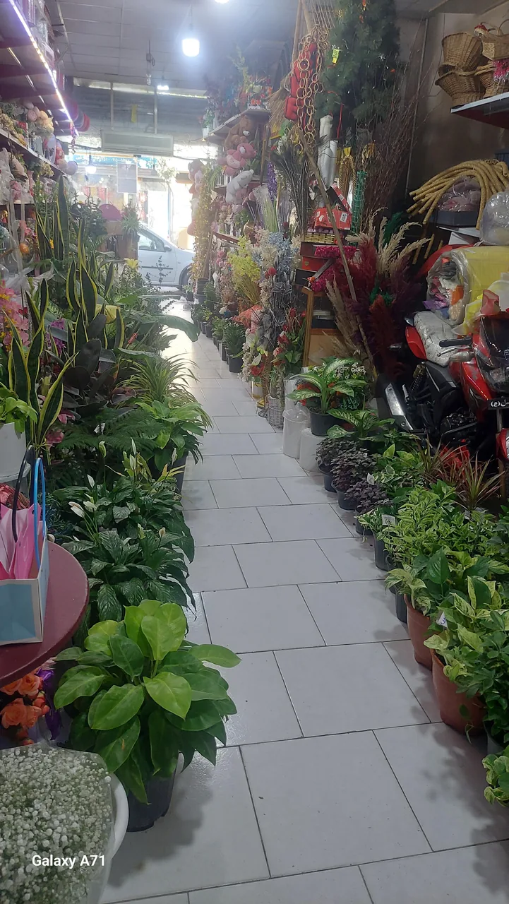 گلسرای بهارنارنج سرچاهی - تصویر 4