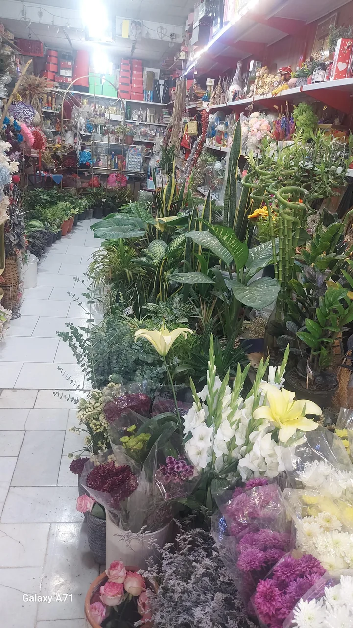 گلسرای بهارنارنج سرچاهی - تصویر 6