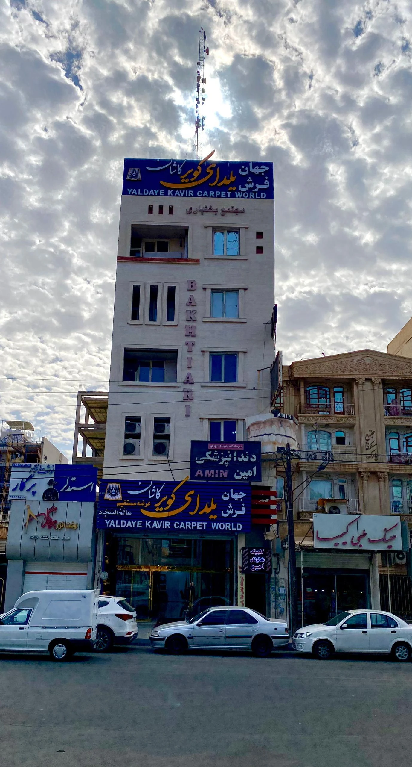 فرش موسوی - زیتون کارمندی
