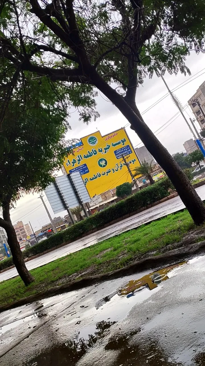 موسسه خیریه فاطمه الزهرا - تصویر 4