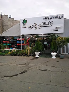 استوک خانه سبز