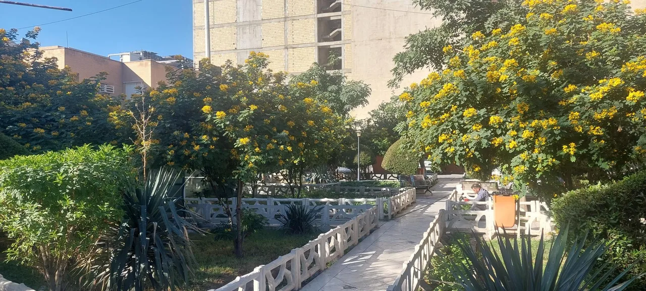 درمانگاه سازمان آب و برق - تصویر 4