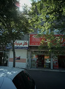 گل مینیاتور