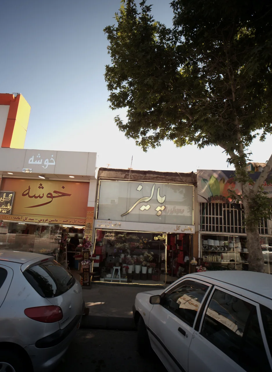 گل فروشی پالیز