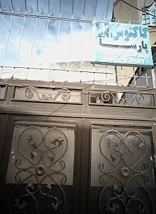 کاکتوس پارسا