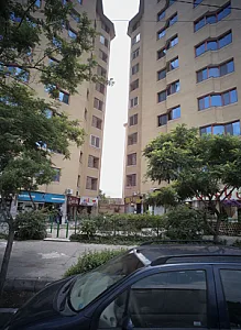 گل پاتریس