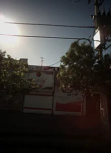گل اشک و لبخند