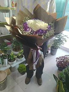 گلسرای لوتوس