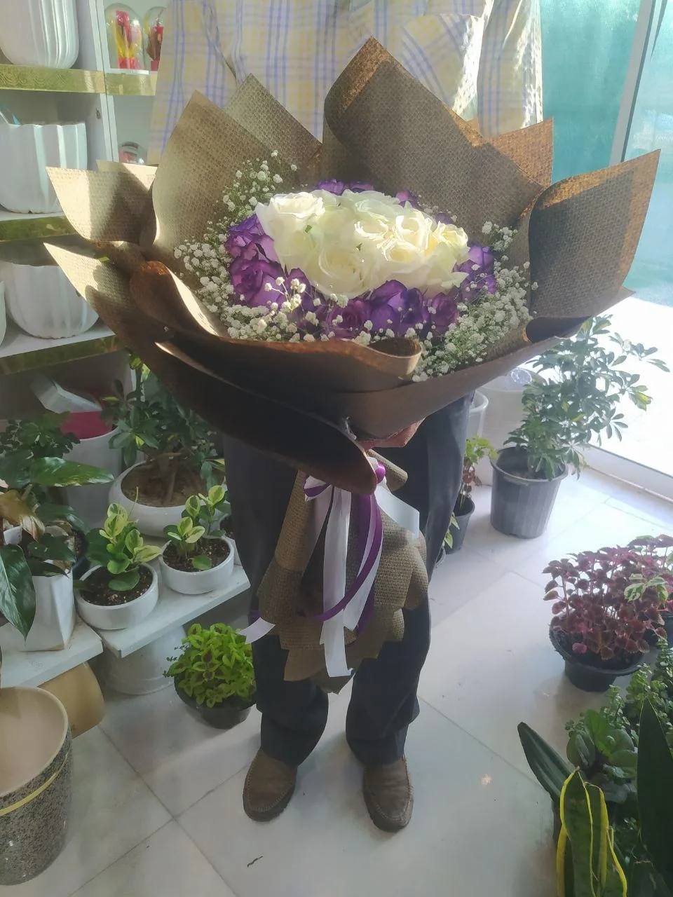 گلسرای لوتوس