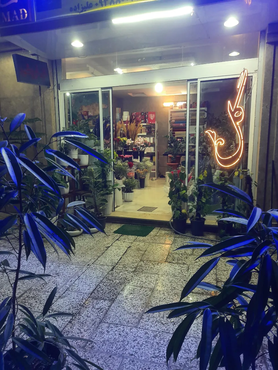 گلسرای لوتوس - تصویر 5