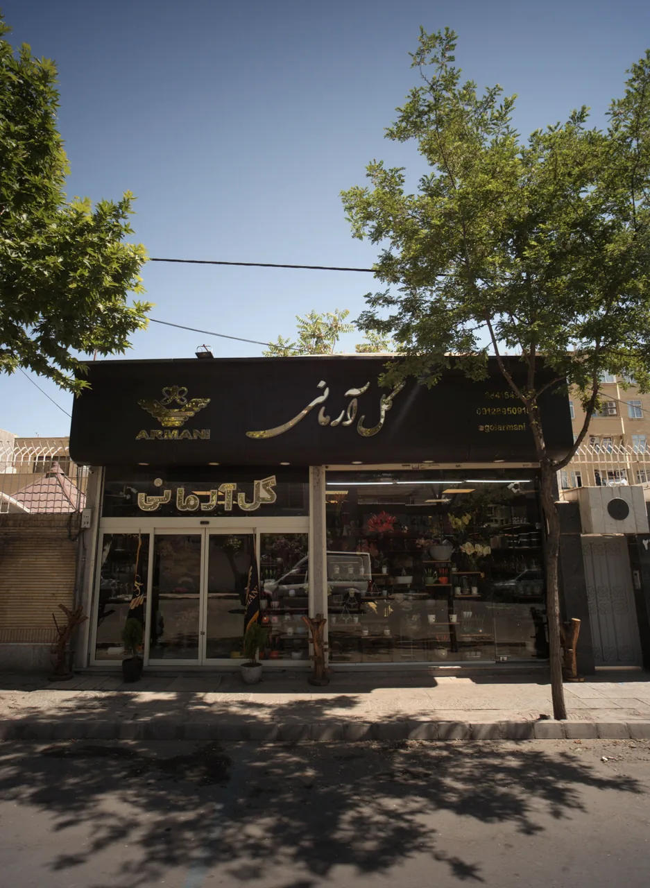 گل آرمانی