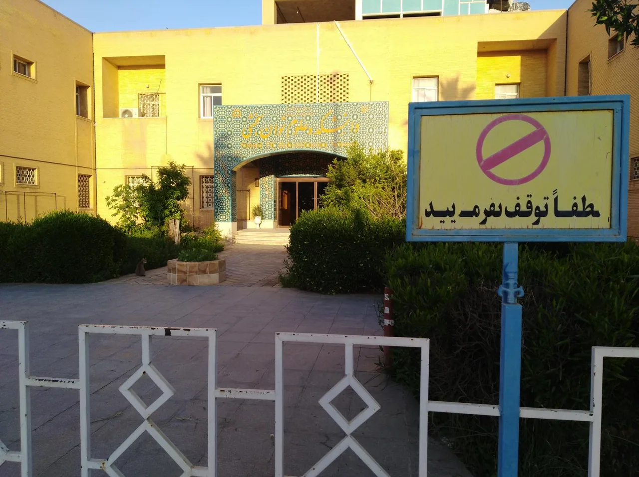 دانشکده توانبخشی - تصویر 3