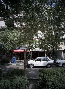 گل نفیس