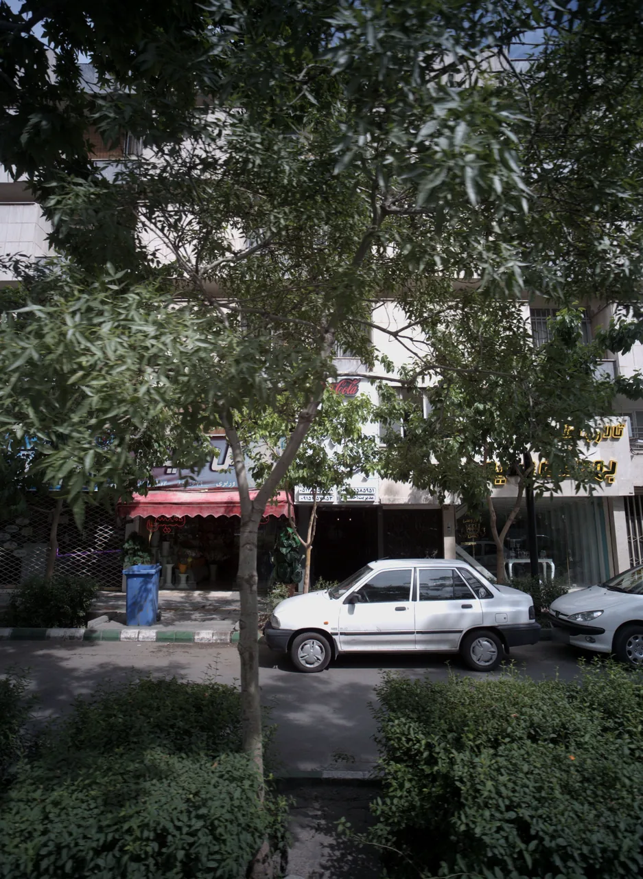 گل نفیس