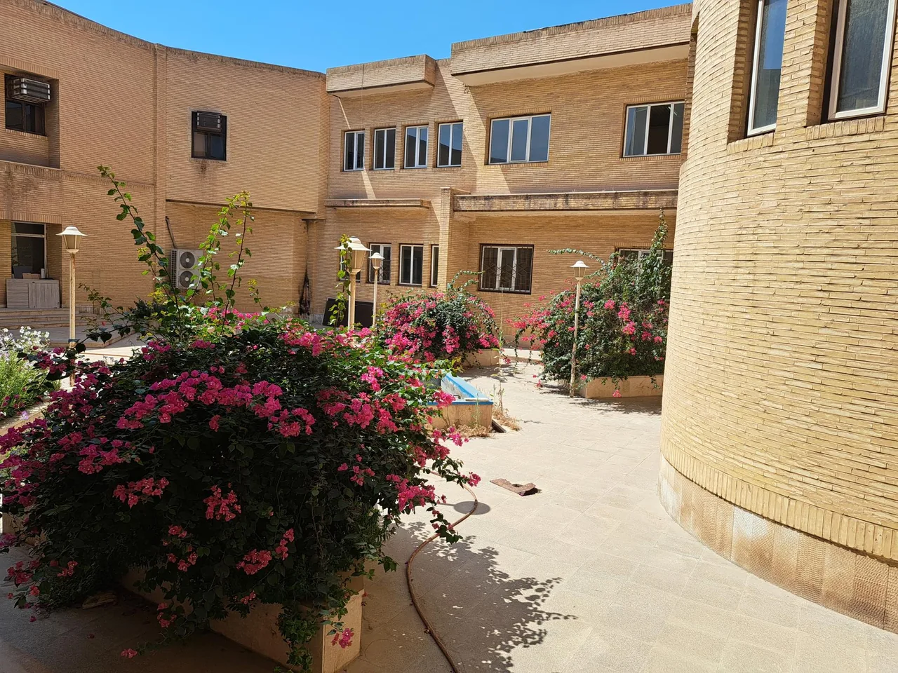 دانشکده اقتصاد و علوم اجتماعی - تصویر 4