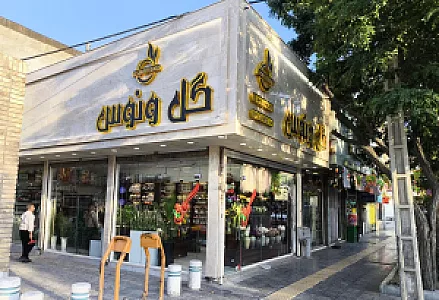گل ونوس