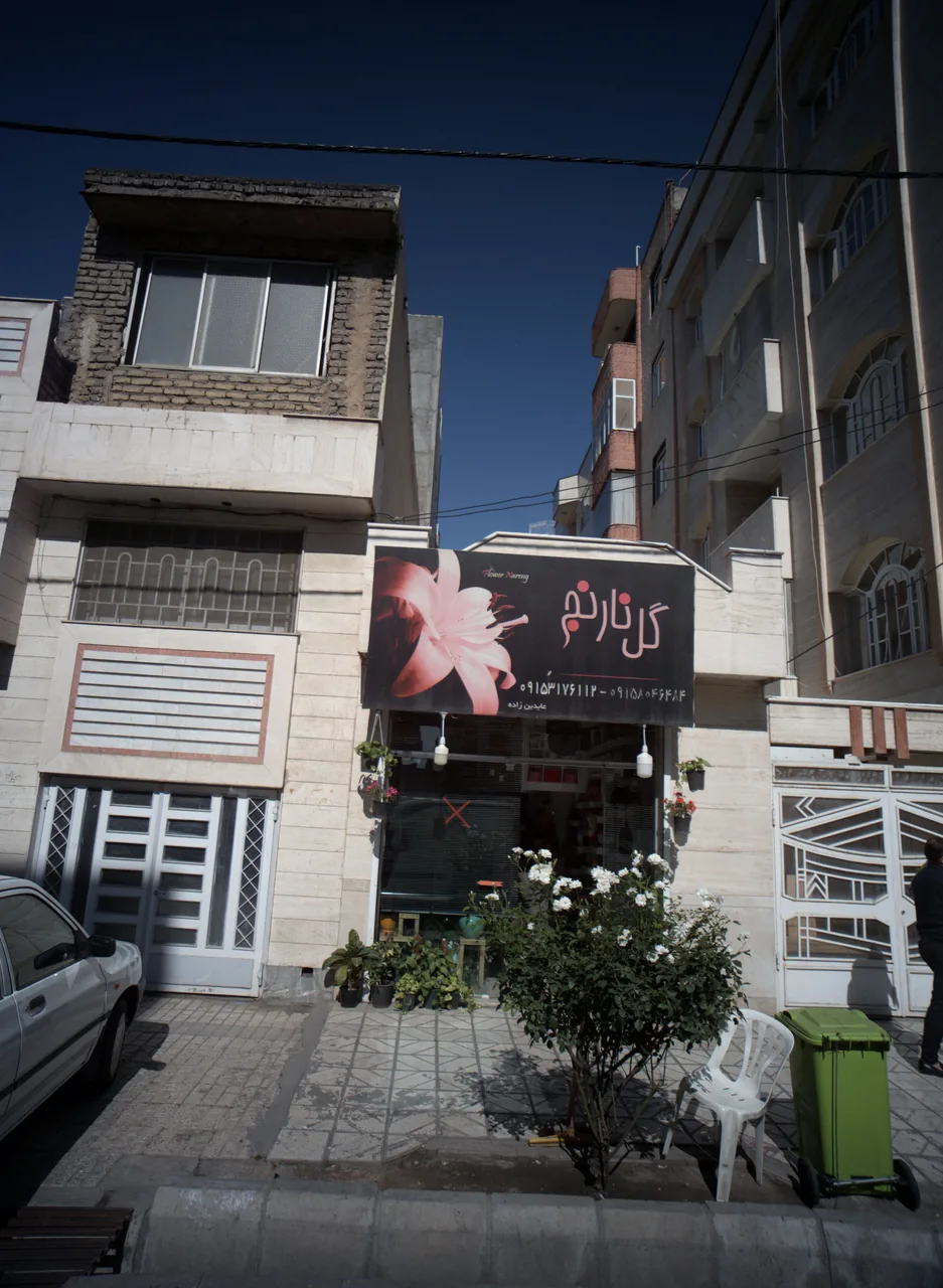 گل نارنج