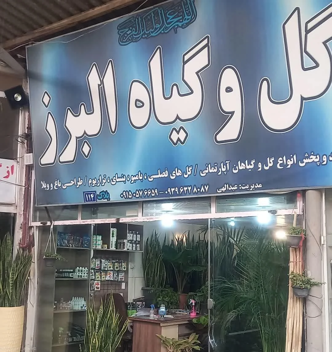 گل و گیاه ناصری - تصویر 2