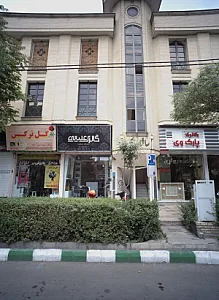 گل نرگس
