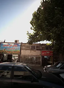 گل فروشی رز طلایی