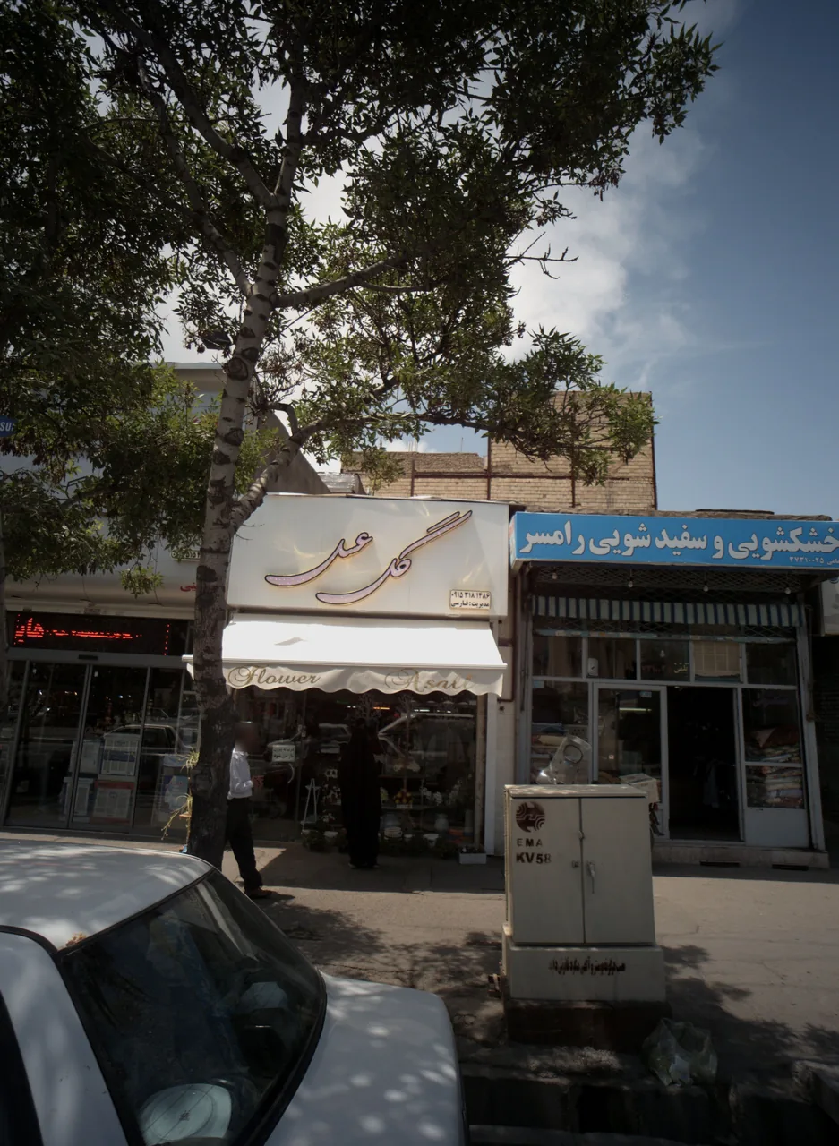 گل عسل