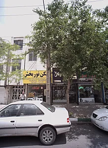 گل لوتوس