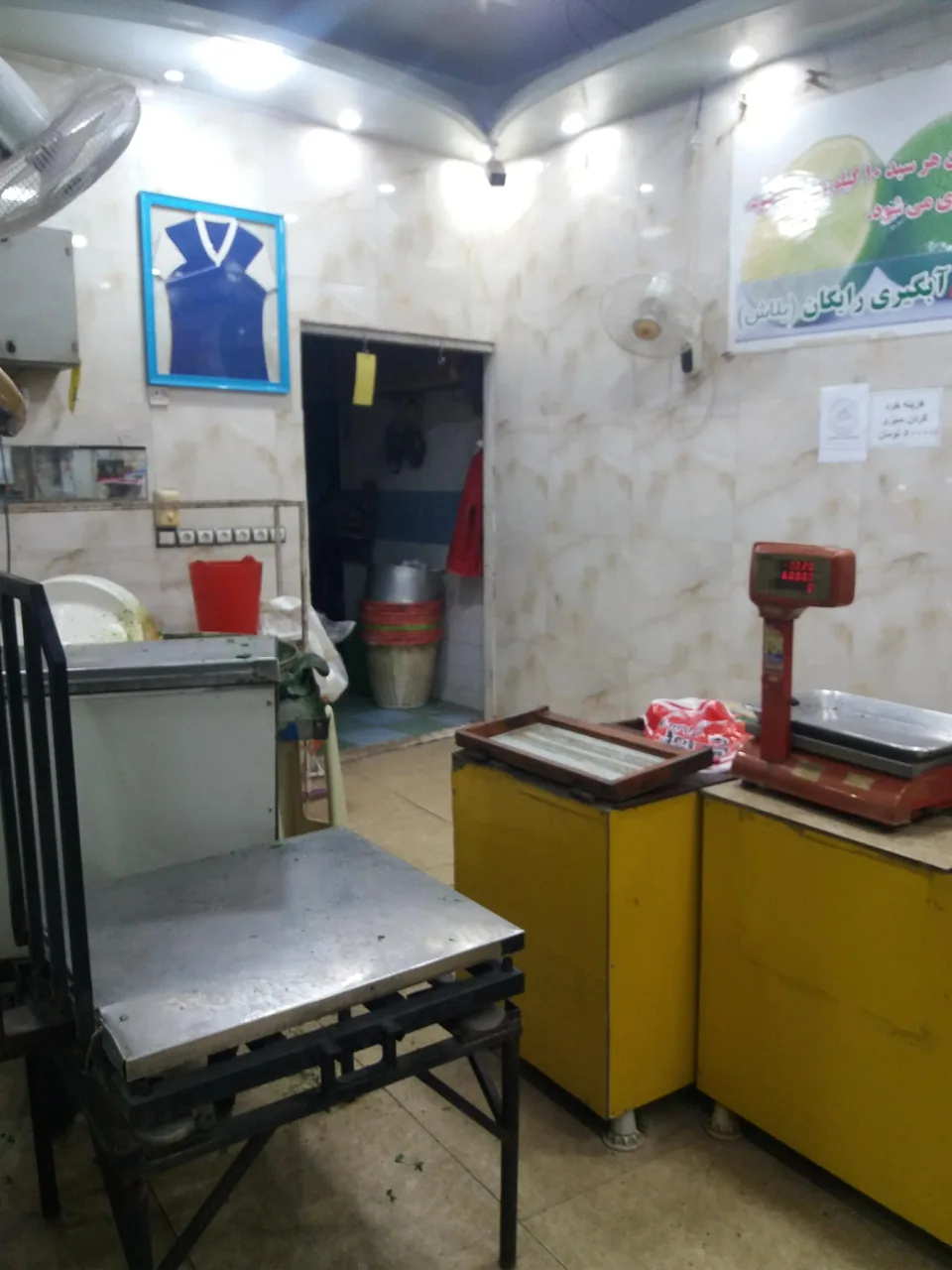 آبلیموگیری و سبزی خردکنی خیری - تصویر 4