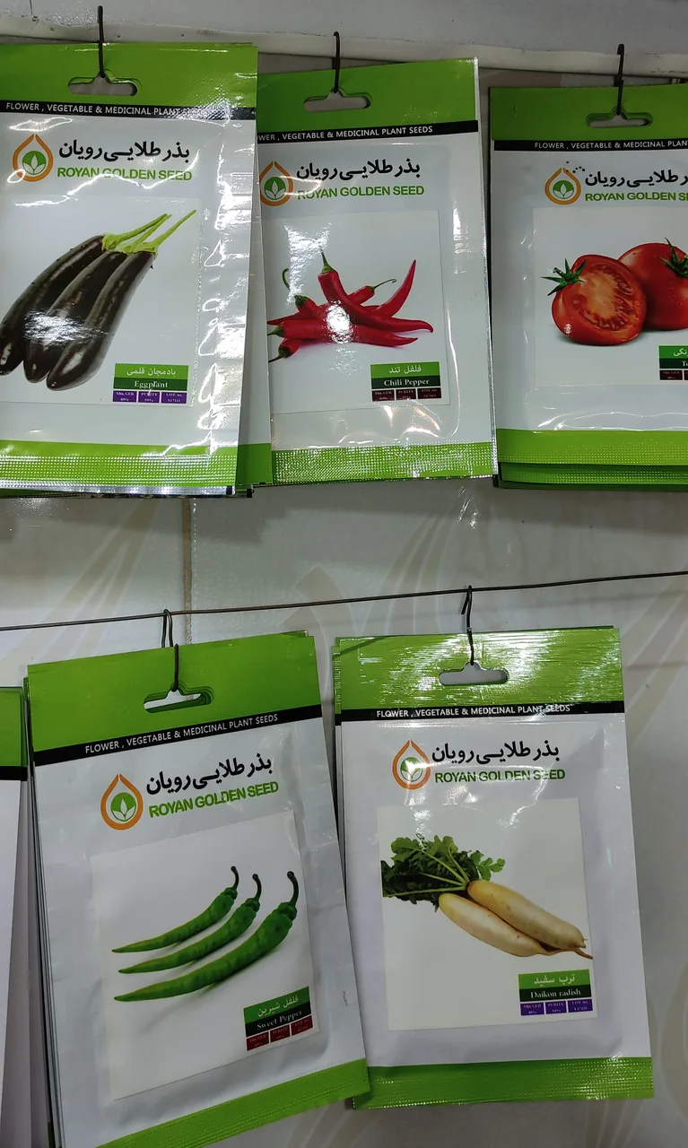 گیاهان آپارتمانی - تصویر 3