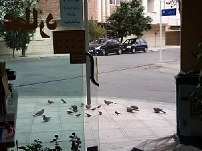 املاک عطارد