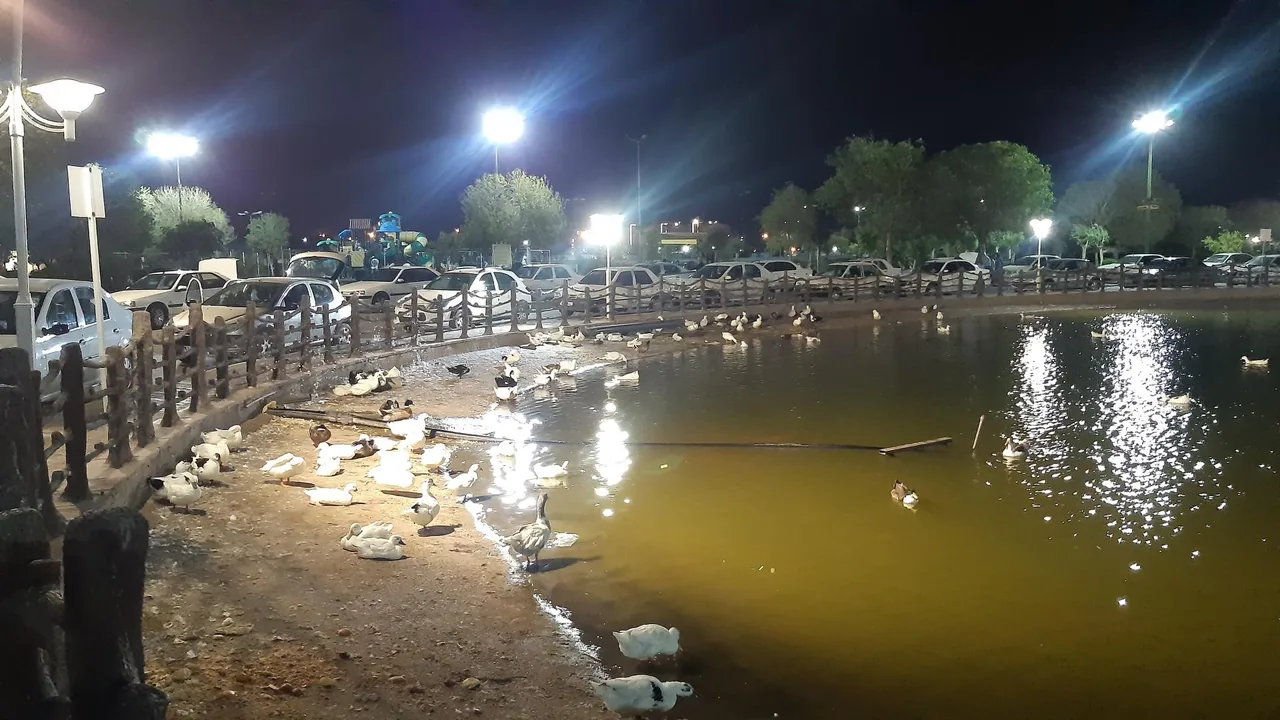 مجتمع فجر سپاه اهواز - تصویر 2