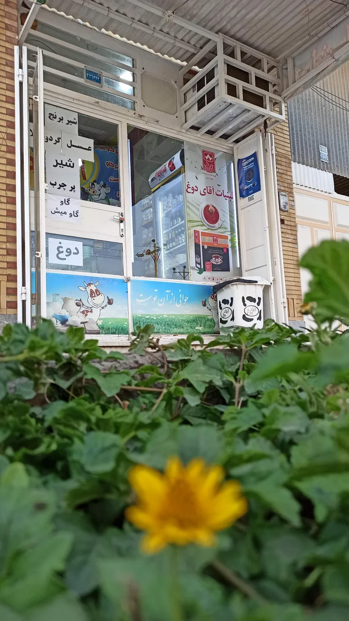 لبنیات محلی بهبهان آقای دوغ - تصویر 3