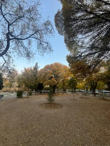 پارک پامچال