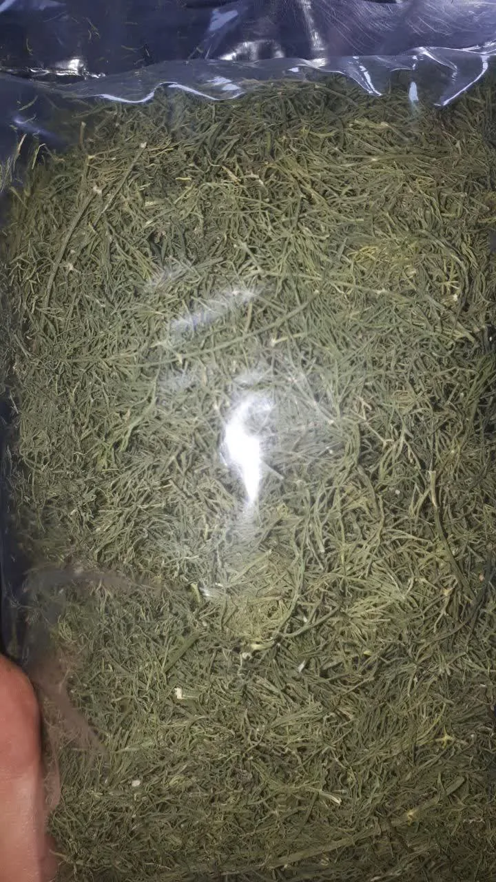 مغاره محصولات گیلان