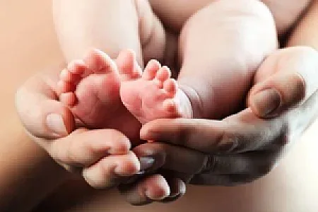 دکتر سیروس بایبوردی
