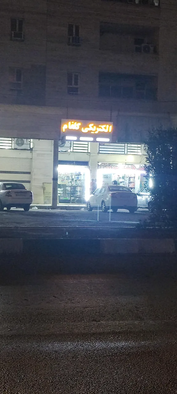 الکتریکی گلفام - تصویر 2