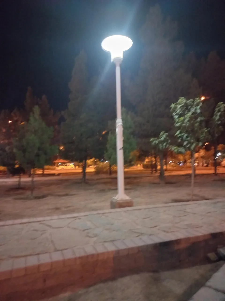 ساندویچ فروشی الغدیر