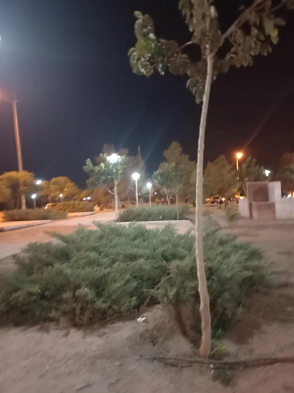 ساندویچ فروشی الغدیر - تصویر 2