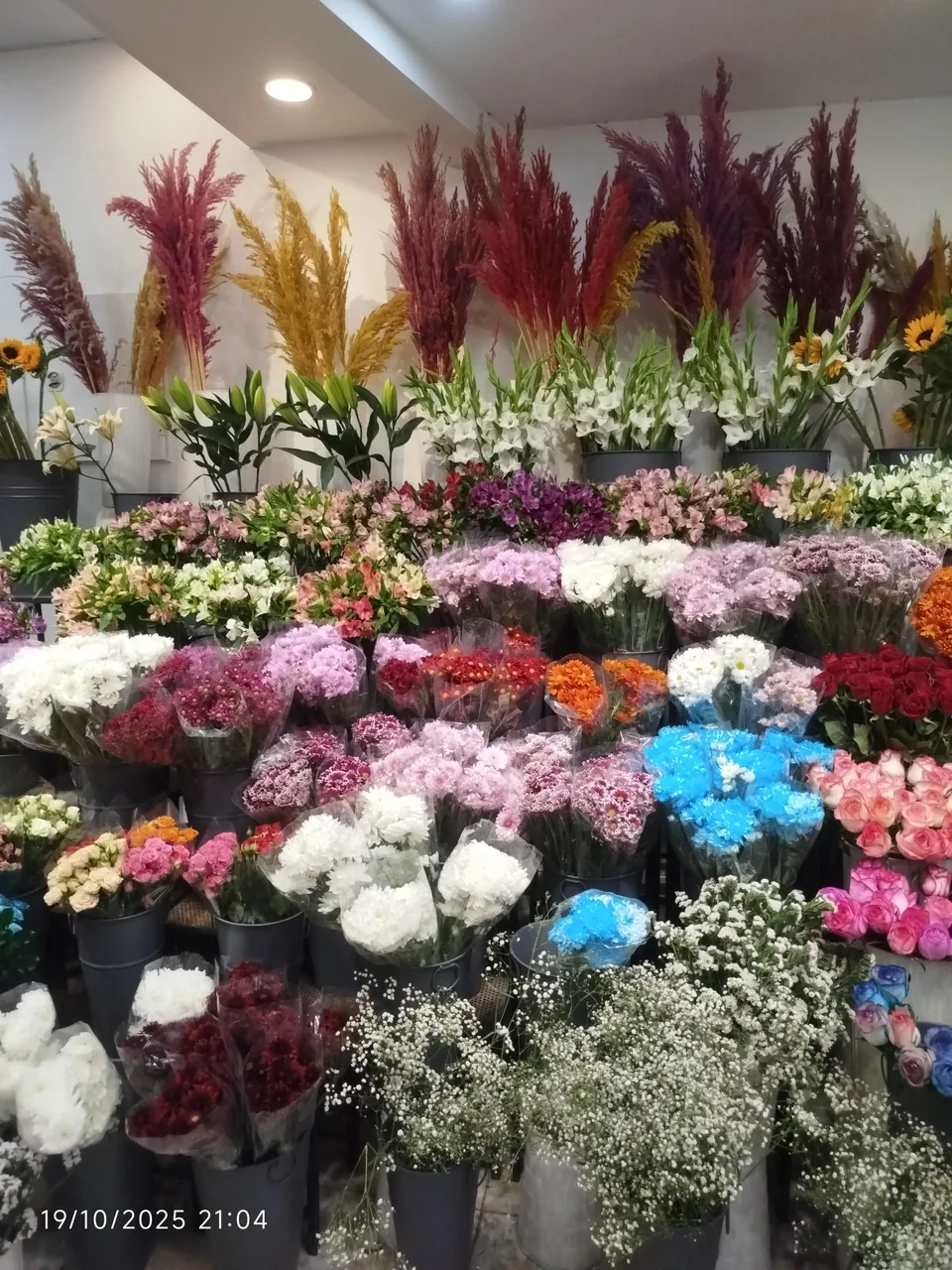 گل فروشی پامچال - تصویر 5