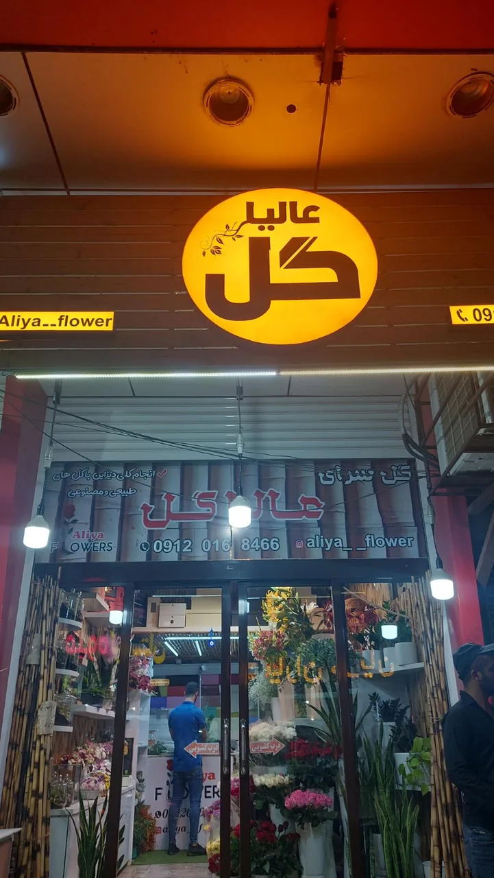 عالیا گل - تصویر 2