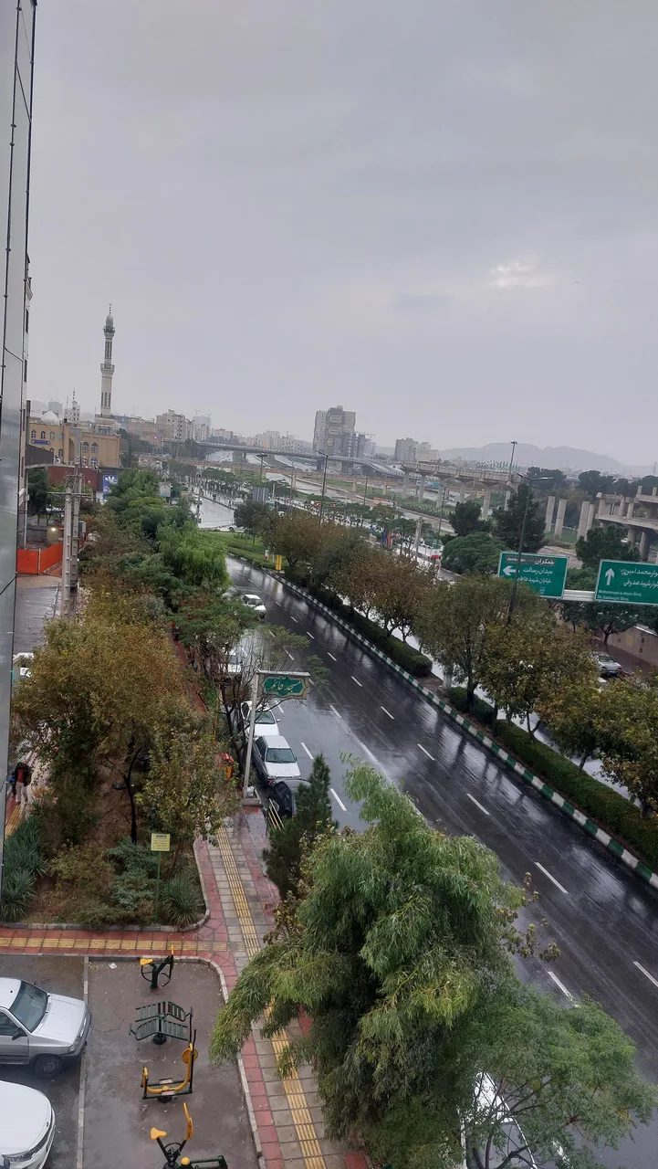 جوج رول - تصویر 2