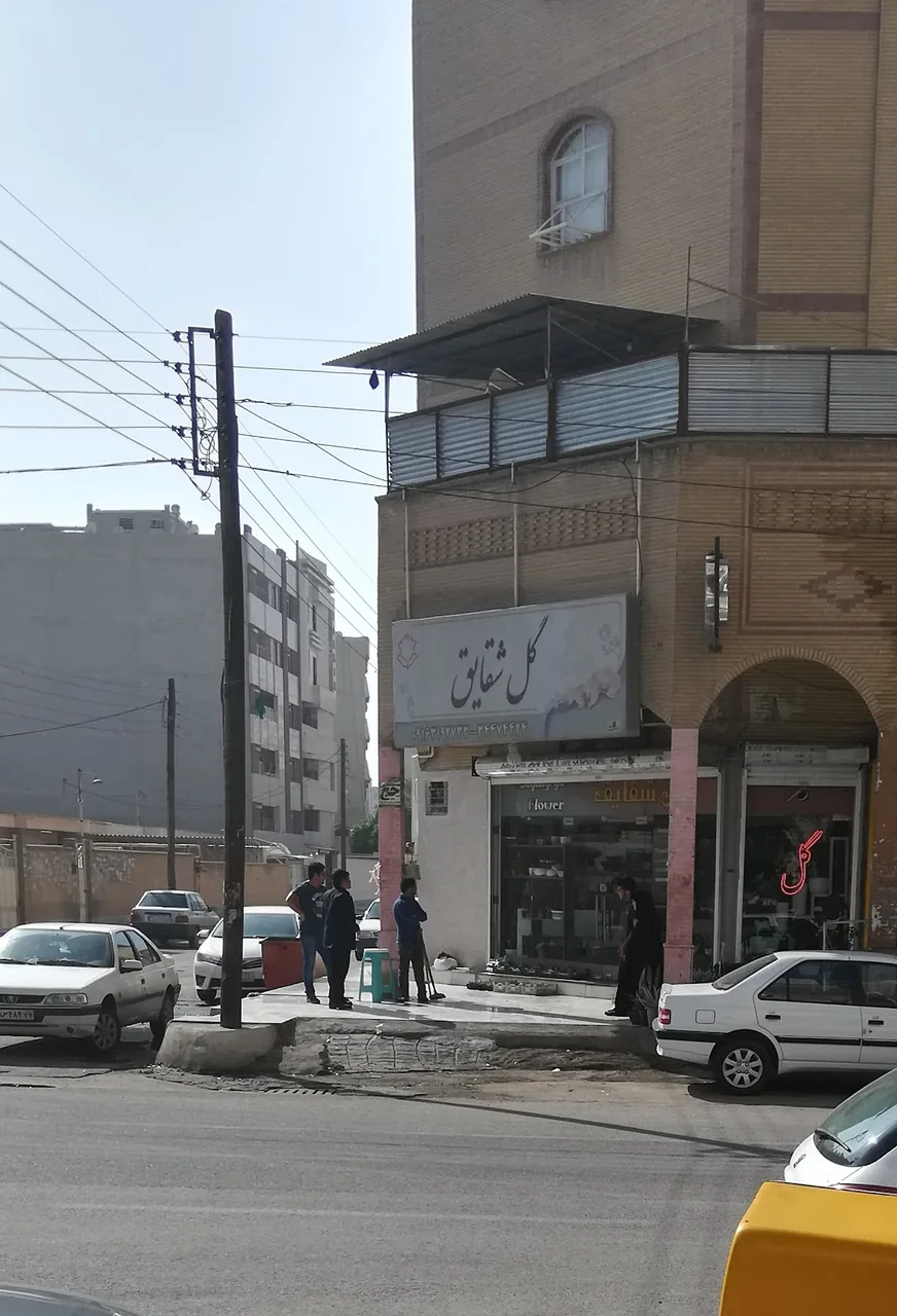 گل فروشی شقایق