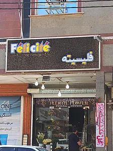گل فلیسیته