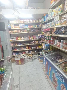 پولک و نبات ملت