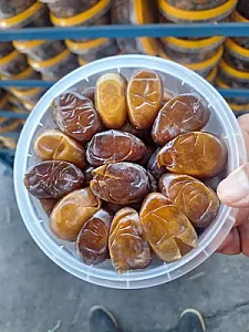 فروشگاه خرما و رطب برادران کیانی