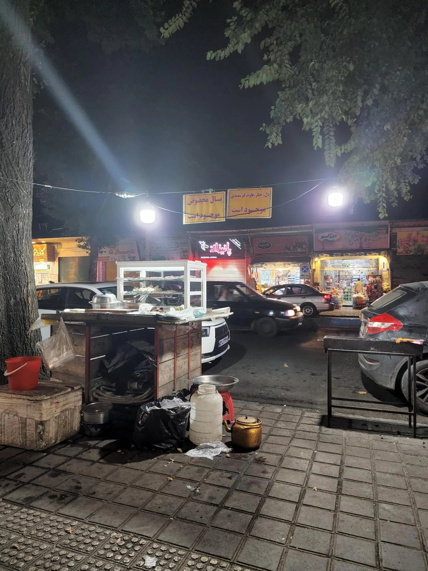 جگرکی سپیدرود - تصویر 2