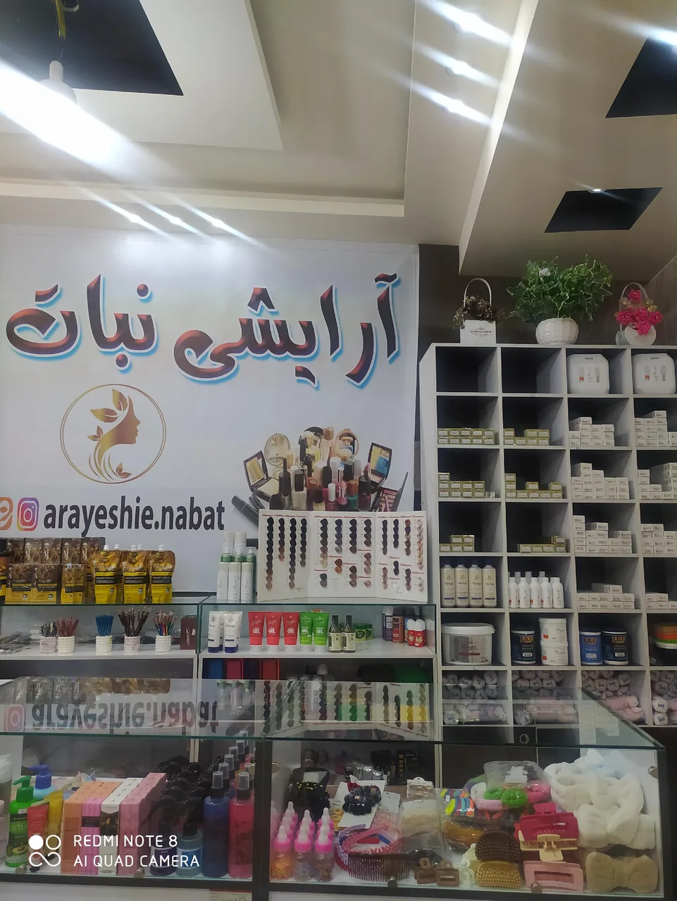 آرایشی نبات - تصویر 6