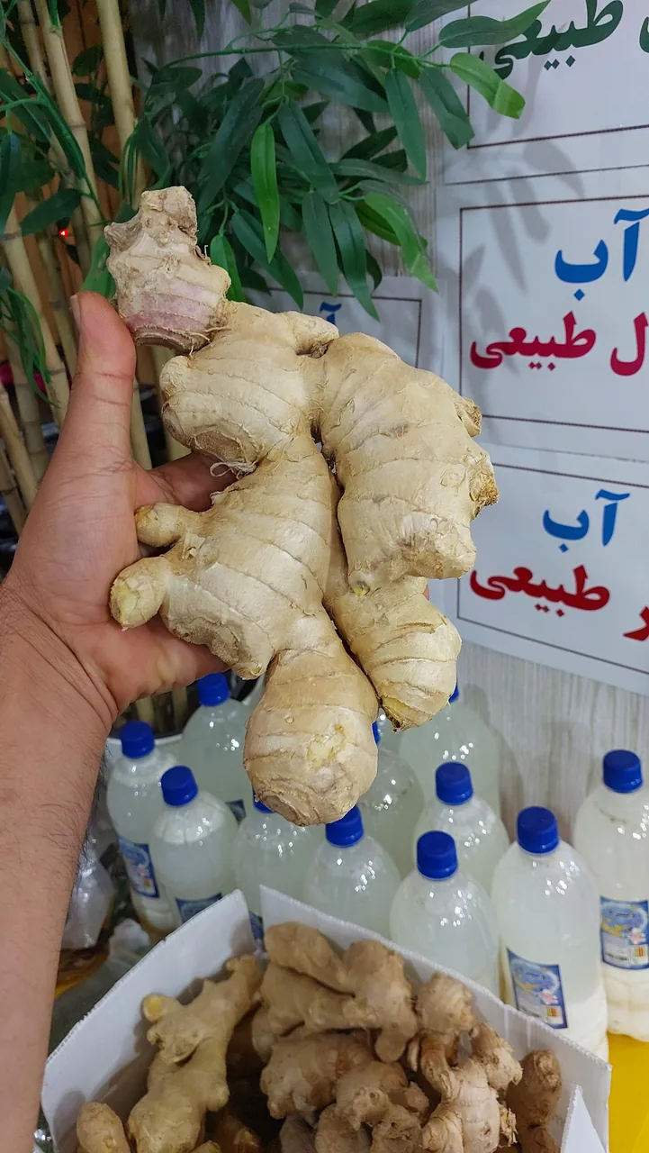 هایپر میوه تمشک - تصویر 4